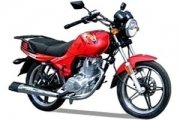 SkyMoto Bird 125/150