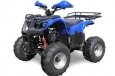 SkyMoto Panda 110