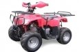 SkyMoto Puma 110