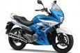 Suzuki Inazuma F (GW250F/GSR250S)