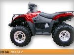 Linhai ATV200-B 3