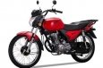 Shineray XY125-10D