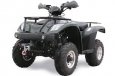 Linhai ATV250