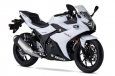 Suzuki GSX250R
