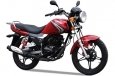 SkyMoto Bird x5 150