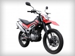  SkyMoto Rider 150/250 1