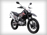  SkyMoto Rider 150/250 2