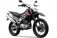 SkyMoto Rider 150/250