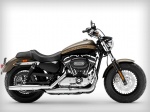  Harley-Davidson 1200 Custom 4