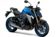 Suzuki GSX-S1000