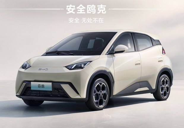 BYD introduced an electric hatchback priced from $9,700