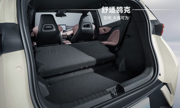 BYD introduced an electric hatchback priced from $9,700