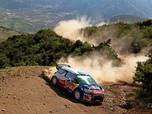  Red Bull       WRC