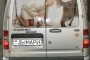 Ford Tourneo Connect 2003 -  2
