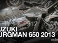Suzuki Burgman 650 Executive (AN650A)    ʸ
