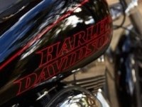   Harley-Davidson Dyna Low Rider