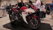   Yamaha YZF-R3