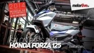    Honda Forza 125