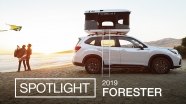 Рекламное видео Subaru Forester
