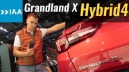  2019: 300 ..! Opel GrandLand X Hybrid4