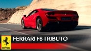 Промо Ferrari F8 Tributo