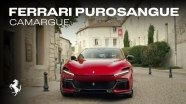 Ferrari Purosangue - ,      