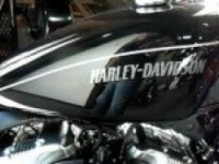   Harley-Davidson Sportster XL 1200N Nightster