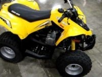  Can-Am DS